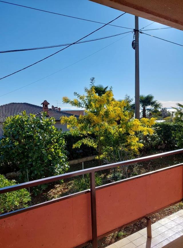 Ferienwohnung Rubin Ika Exterior foto